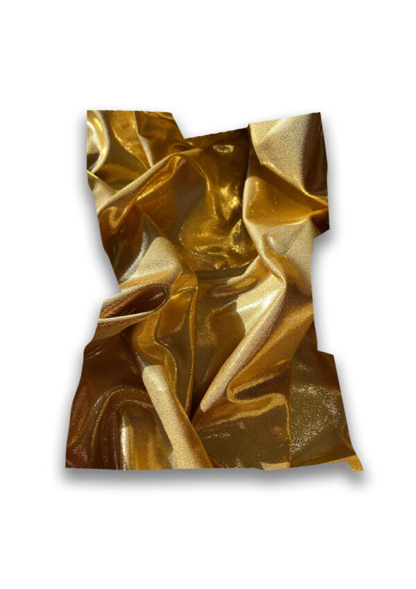 Lycra shiny or